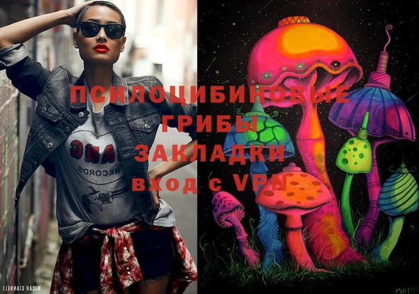 амф Алзамай