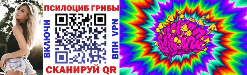 Псилоцибиновые грибы Psilocybine cubensis  ОМГ ОМГ ССЫЛКА  Новая Ладога 